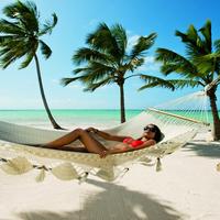 Отзыв от Алина - DTV виза